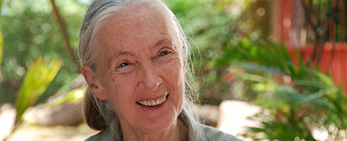 An older woman smiling in front of a tree, wearing a tie-dye shirt.