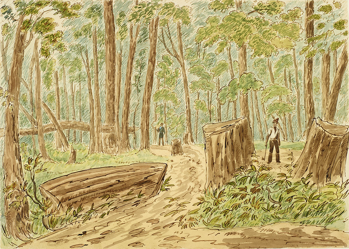 A drawing of a man in a wooded area exhibited at the Canadian Museum of History in Ottawa.