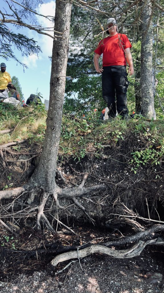 Like most archaeological sites in Maine, the Sipp site is actively eroding and is severely endangered. Note the dark soil and shell spilling into the intertidal zone as the bank is undercut by waves.