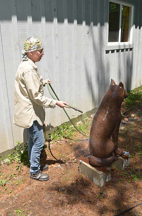 A brown statue of a wolf in Ottawa displayed at the Canadian Museum of History.