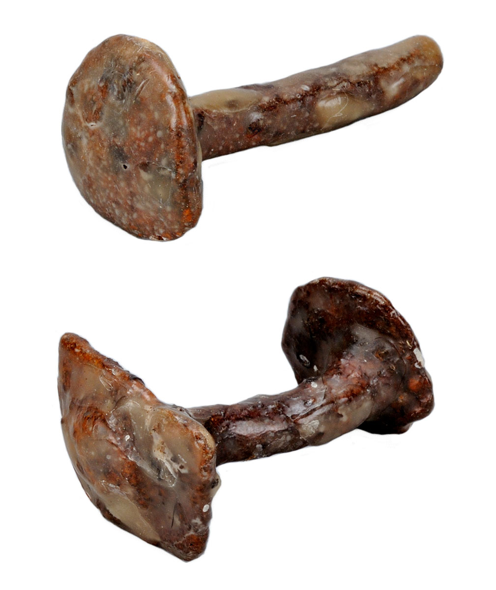 A pair of wooden cufflinks on a white background featured at the Canadian Museum of History in Ottawa.