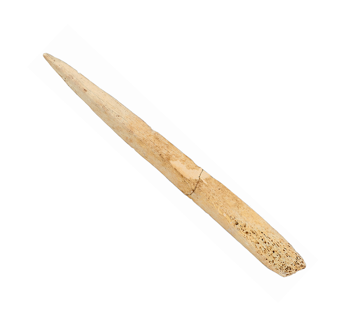 A wooden stick with a hole in it on display at the Canadian Museum of History.