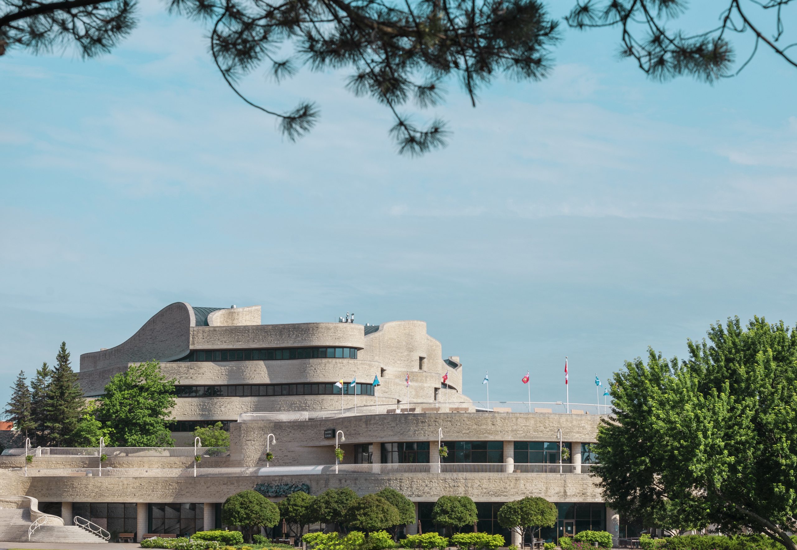 The Canadian Museum of History in Ottawa is adorned by a majestic tree standing proudly in front of it.