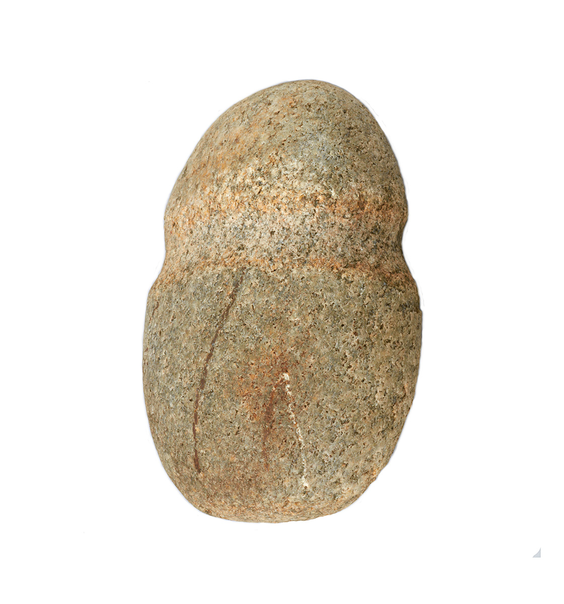 A stone shaped like a beetle on a white background at the Canadian Museum of History in Ottawa.