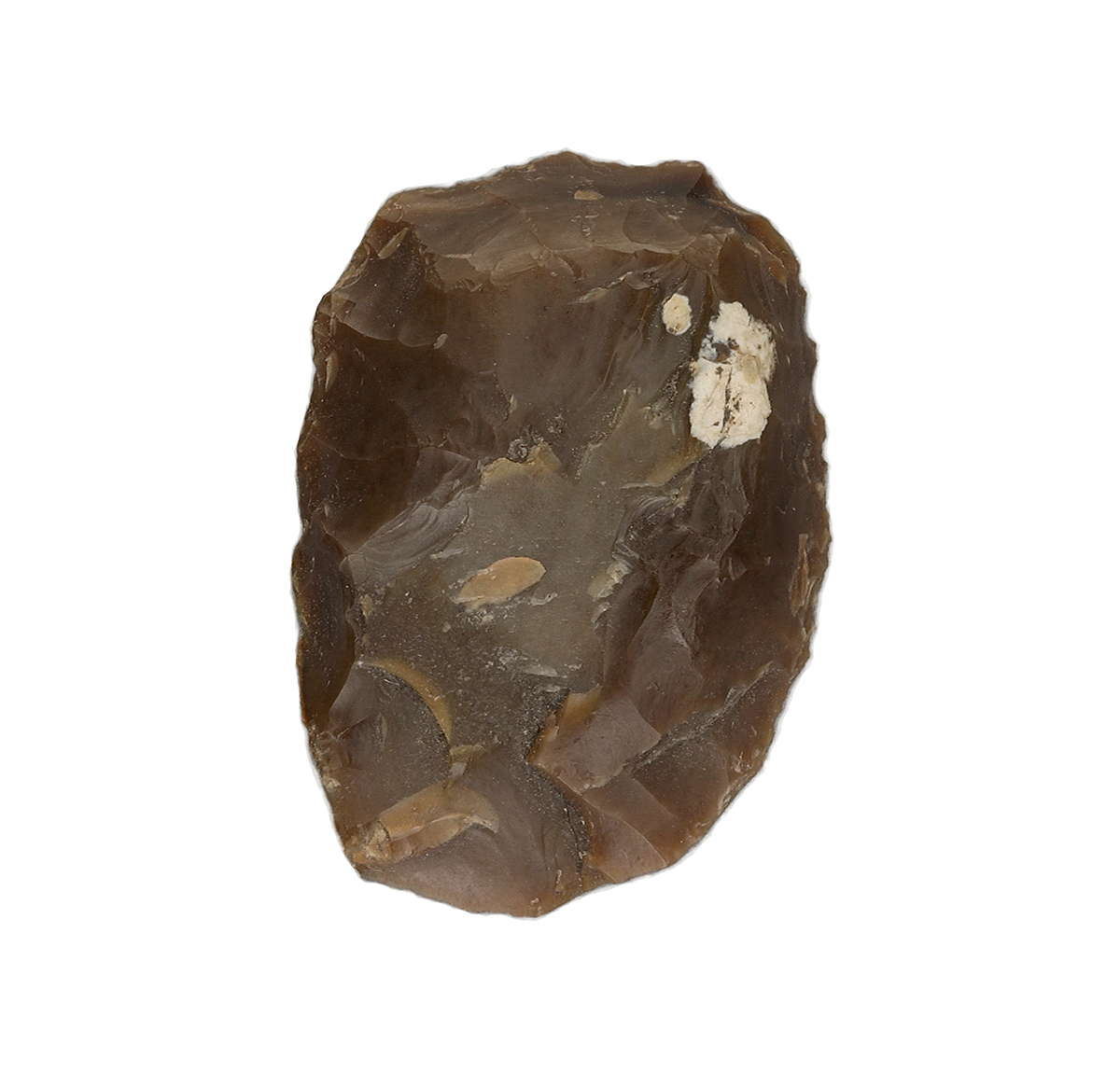 A piece of brown rock on a white background at the Canadian Museum of History in Ottawa.