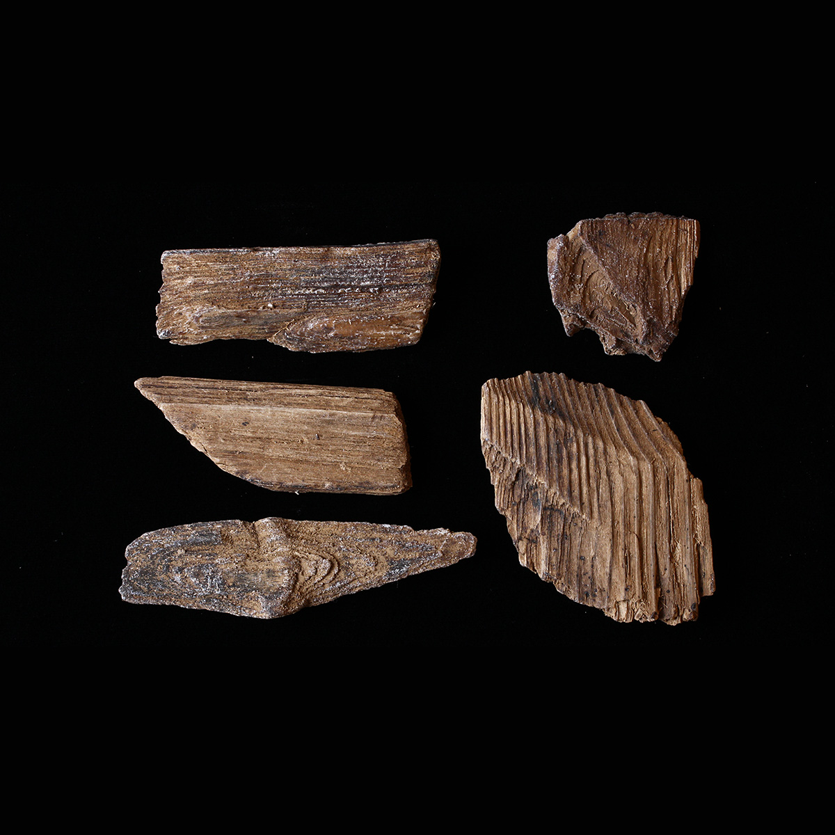 Four pieces of wood on a black background exhibited at the Canadian Museum of History in Ottawa.